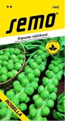 Kapusta GRONINGER růžičková