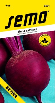 Řepa