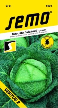 Kapusta