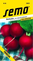 Ředkvička TERCIA celoroční